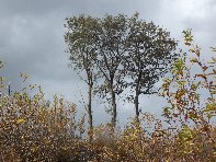 nte Fontane-201011128 039